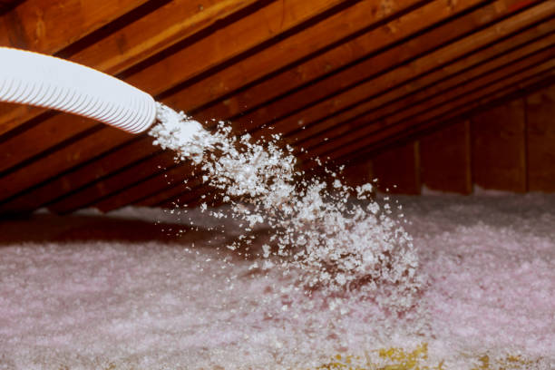 Best Specialized Insulation Services in Patrick Af, FL