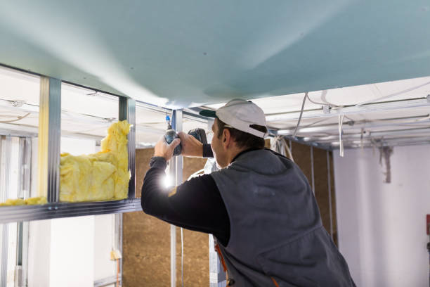 Best DIY Insulation Kits and Guidance in Patrick Af, FL