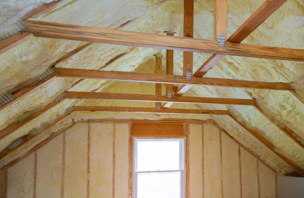 Best Spray Foam Insulation in Patrick Af, FL