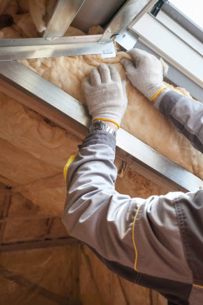 Best Cellulose Insulation in Patrick Af, FL