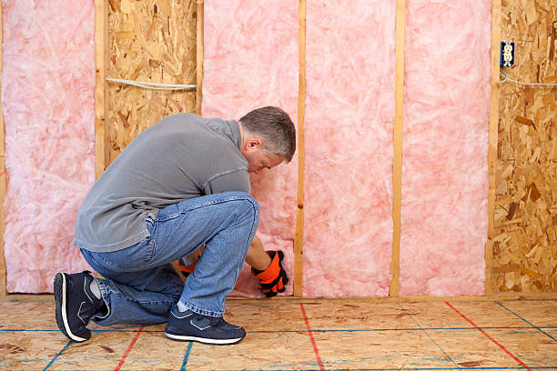 Best Cellulose Insulation in Patrick Af, FL